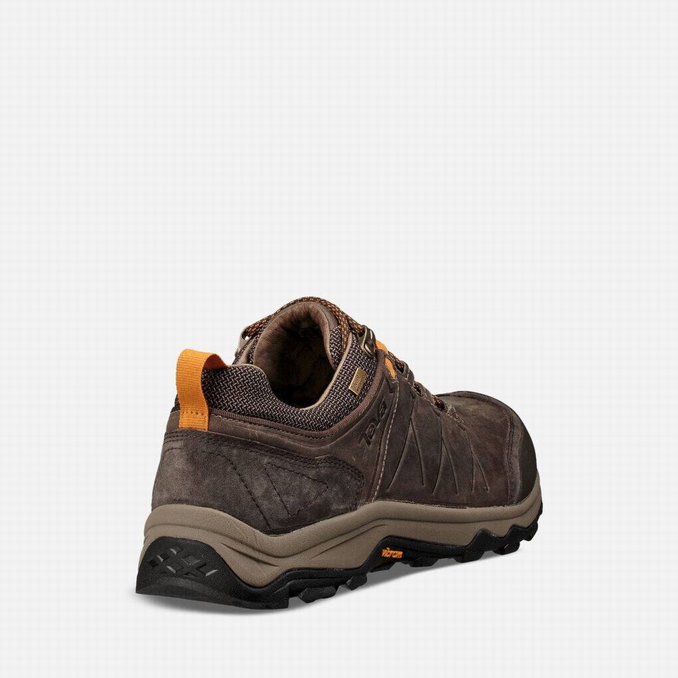 Teva Arrowood Riva Waterproof Walking Shoes Coffee | 4134155