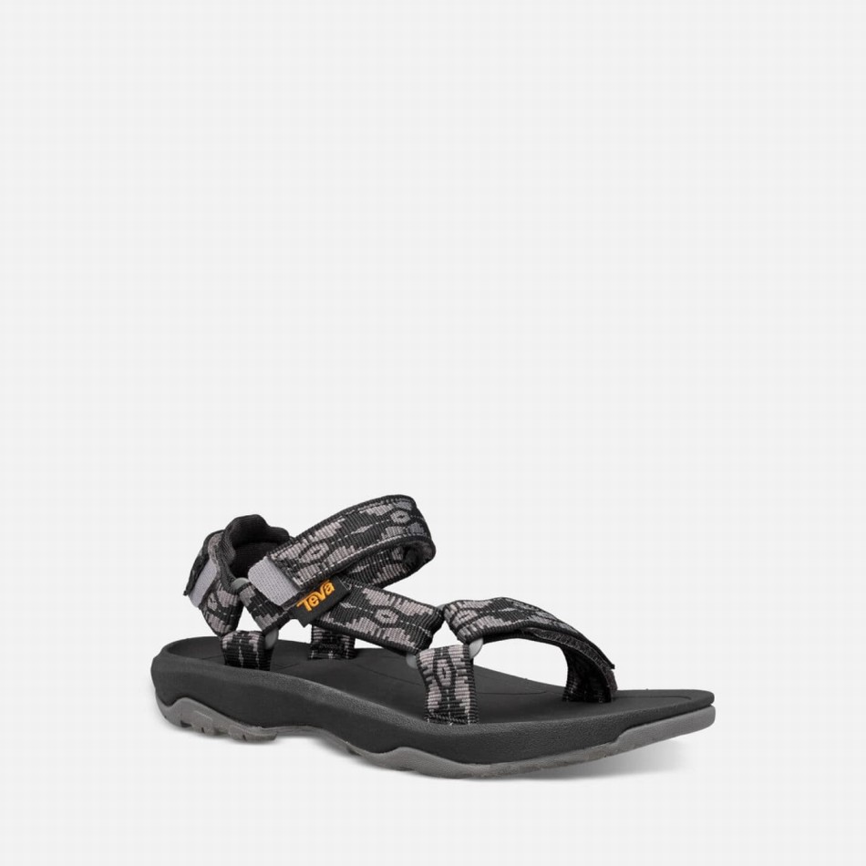 Teva Hurricane XLT2 Sandals Dark Grey | 5855541