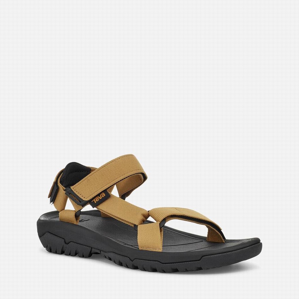 Teva Hurricane XLT2 Sandals Olive | 2600465