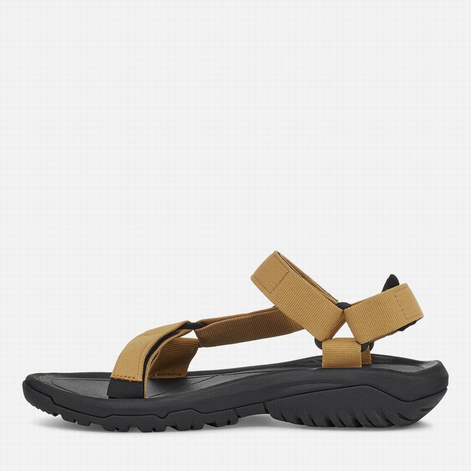 Teva Hurricane XLT2 Sandals Olive | 2600465