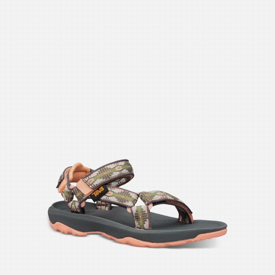 Teva Hurricane XLT2 Sandals Orange | 8565216