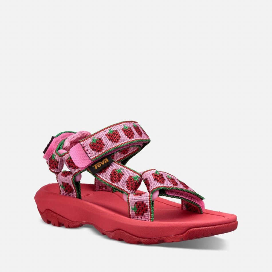 Teva Hurricane XLT2 Sandals Pink | 8096834