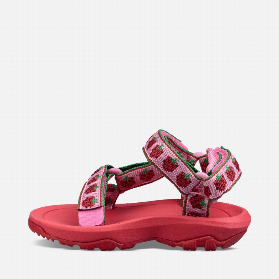 Teva Hurricane XLT2 Sandals Pink | 8096834