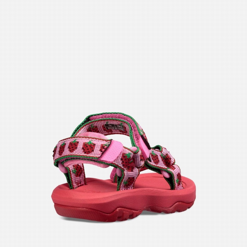 Teva Hurricane XLT2 Sandals Pink | 8096834