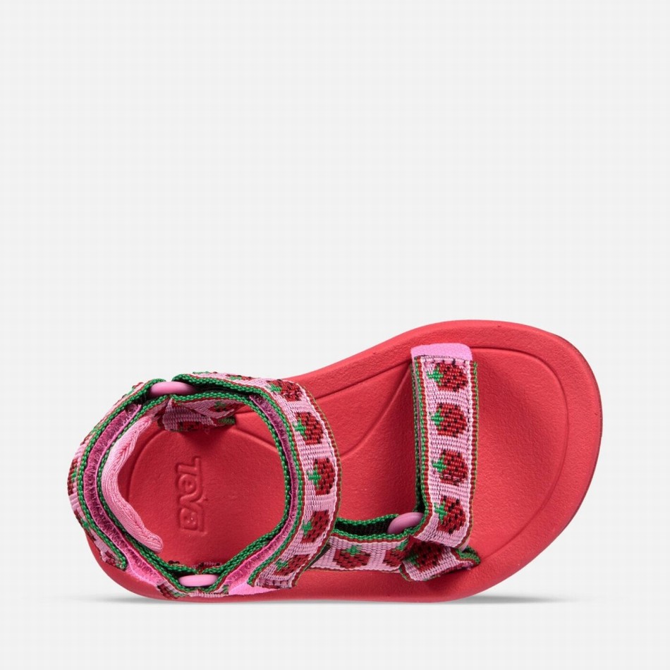 Teva Hurricane XLT2 Sandals Pink | 8096834