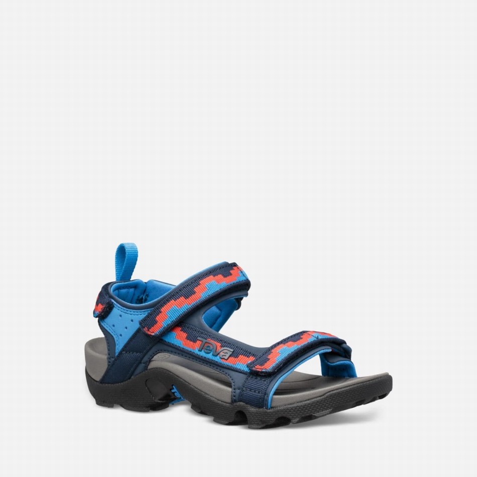 Teva Tanza Sandals Blue | 6174624