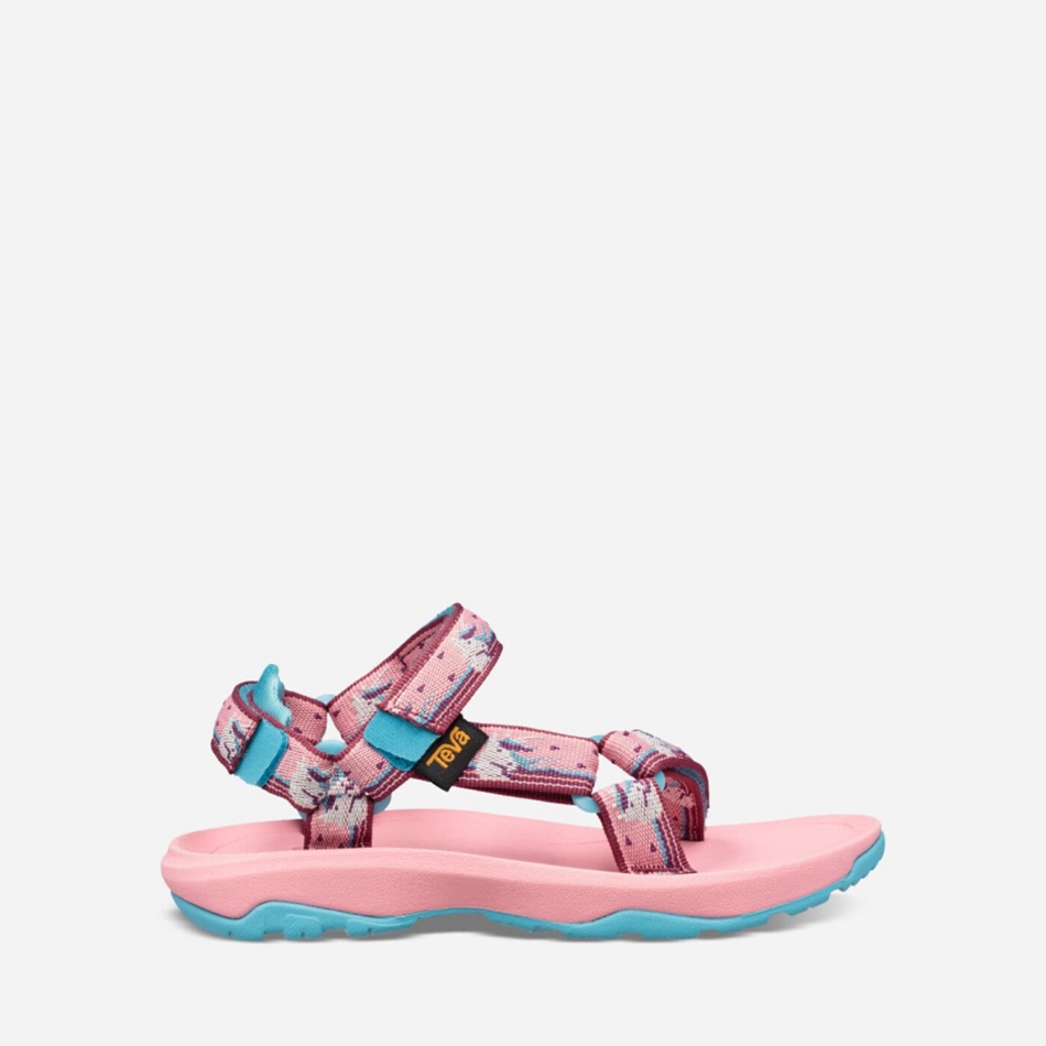 Teva Hurricane XLT2 Sandals Pink | 4188207